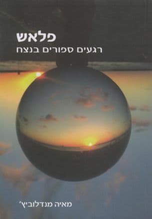 פלאש - רגעים ספורים בנצח