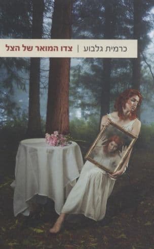 צדו המואר של הצל