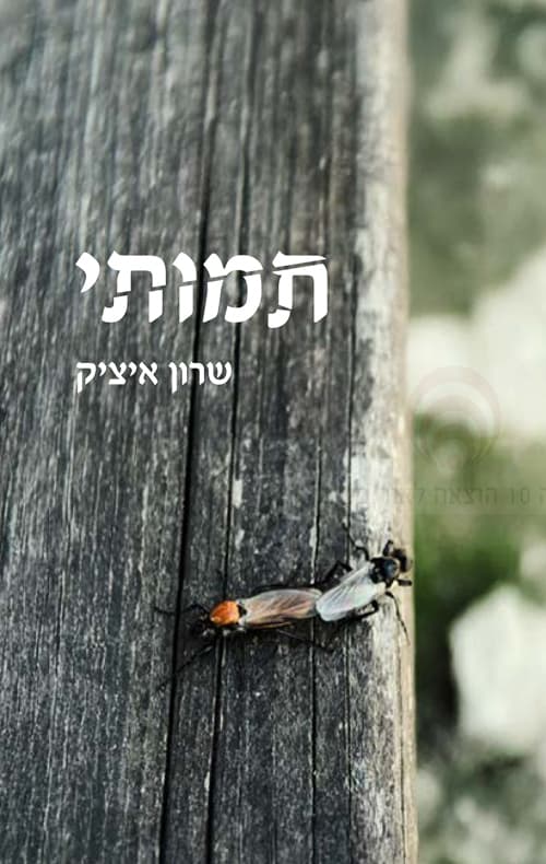 תמותי