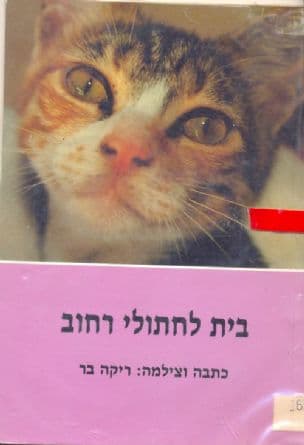 בית לחתולי רחוב