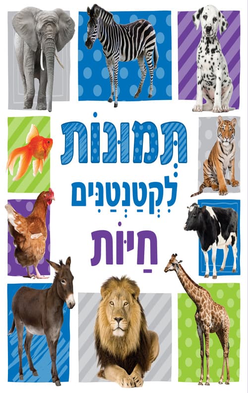 תמונות לקטנטנים - חיות
