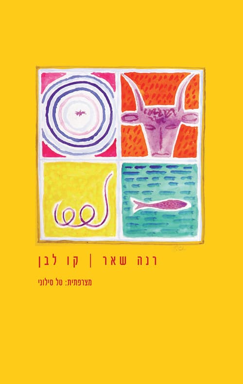 קו לבן