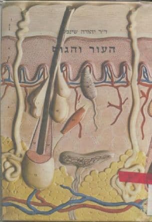 העור והגוף