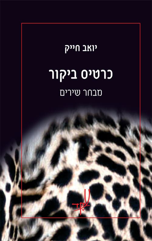 כרטיס ביקור