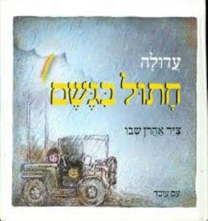 חתול בגשם