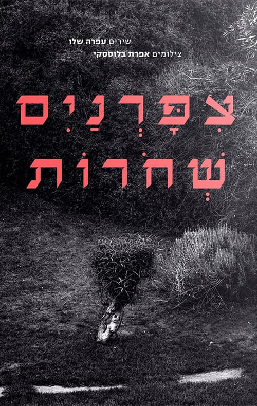 ציפורניים שחורות