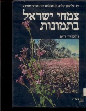 צמחי ישראל בתמונות