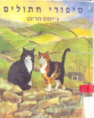 סיפורי חתולים