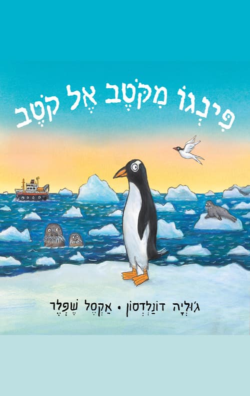 פינגו מקטב אל קטב