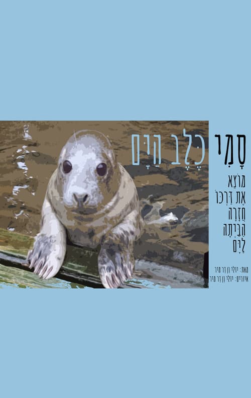 סמי כלב הים מוצא את דרכו חזרה הביתה לים