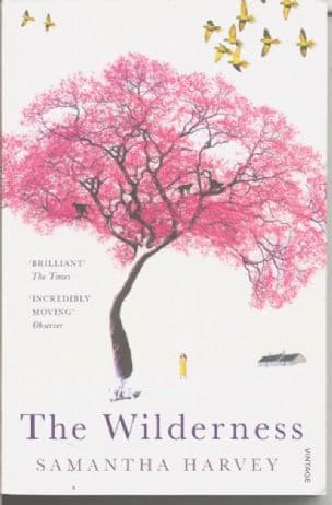 The Wilderness