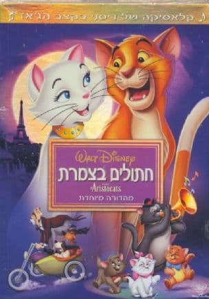 חתולים בצמרת