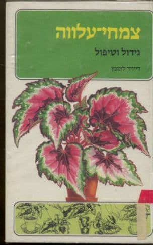 צמחי-עלווה : גידול וטיפול