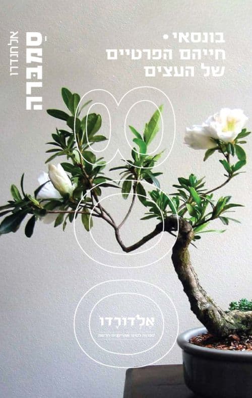 בונסאי - חייהם הפרטיים של העצים