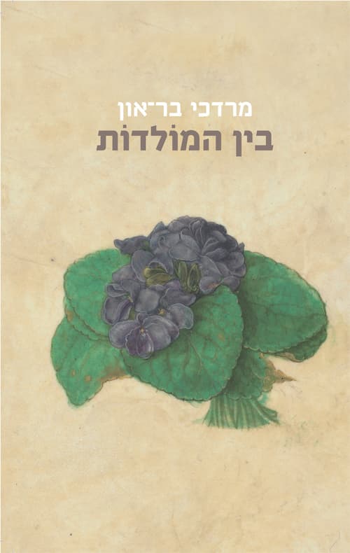 בין המולדות