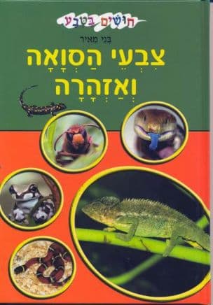 צבעי הסואה ואזהרה