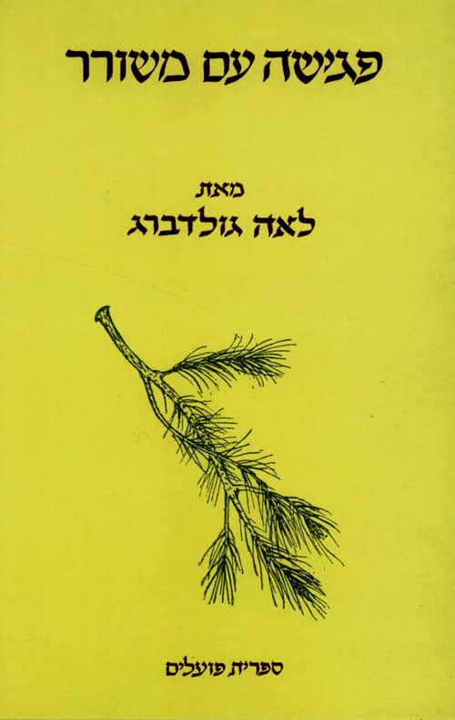 פגישה עם משורר : (על אברהם בן-יצחק סונה)