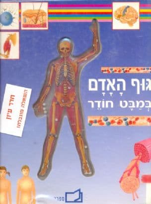 גוף האדם במבט חודר