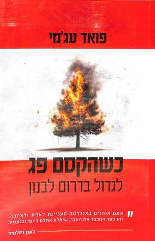 כשהקסם פג : לגדול בדרום לבנון