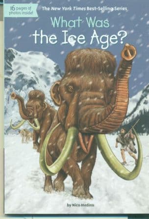 What Was the Ice Age