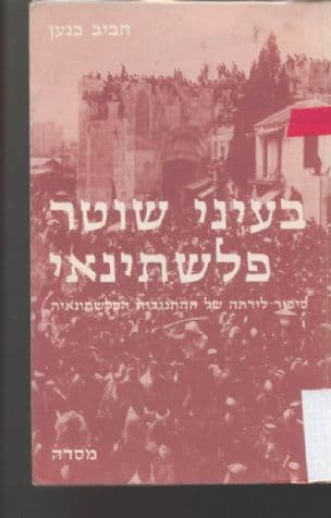 בעיני שוטר פלשתינאי ; סיפור לידתה של ההתנגדות הפלשתינאית