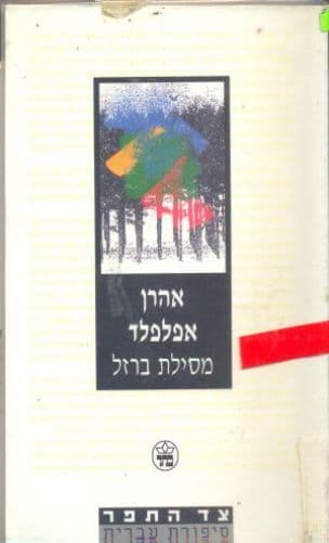 מסילת ברזל