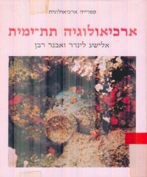 ארכיאולוגיה תת-ימית