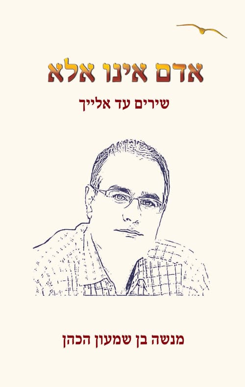 אדם אינו אלא