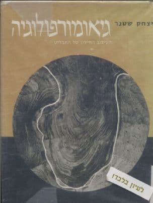 גיאומורפולוגיה - העיצוב החציון של התבליט