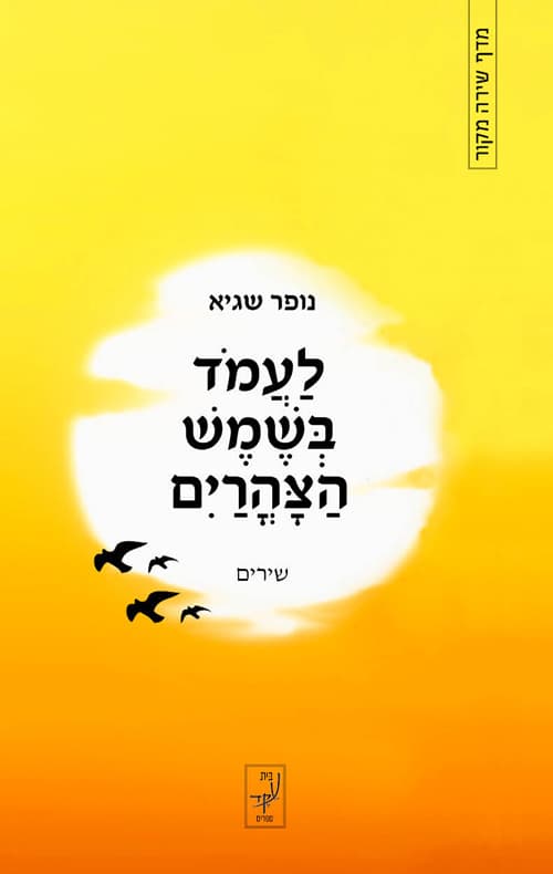 לעמוד בשמש הצהרים