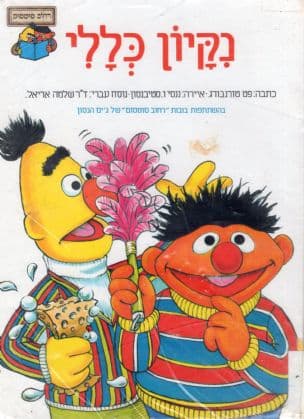 נקיון כללי