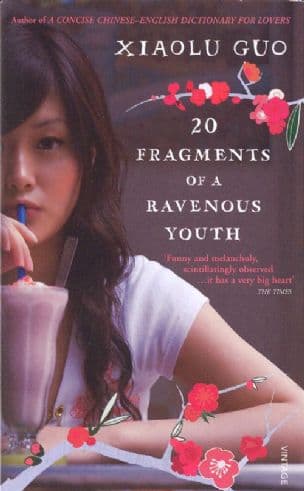20 fragments of a ravenous youth