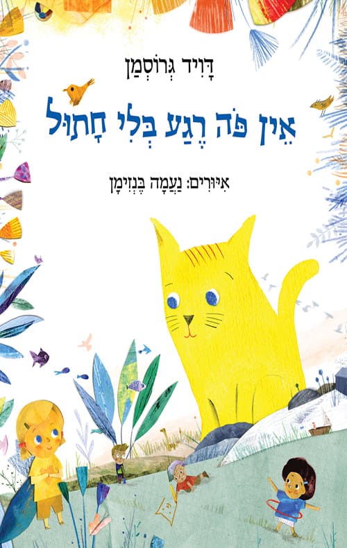 אין פה רגע בלי חתול
