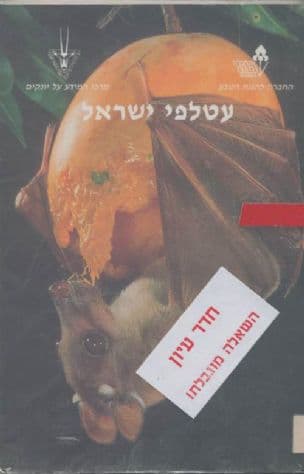 עטלפי ישראל