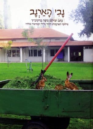 נבי הארנב