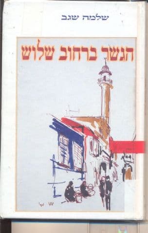 הגשר ברחוב שלוש