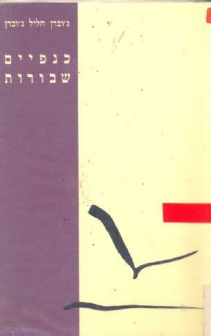 כנפיים שבורות