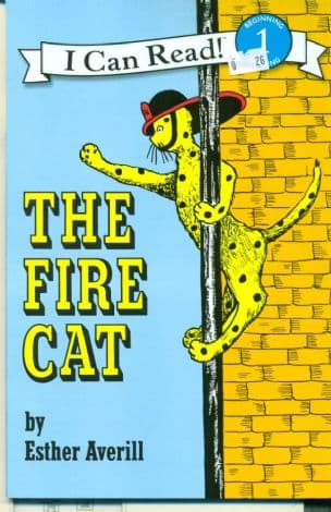 The Fire Cat