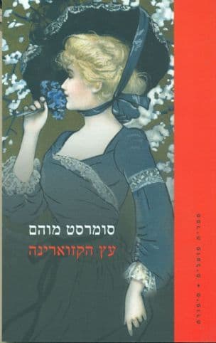 עץ הקזוארינה