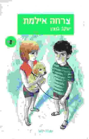 צרחה אילמת