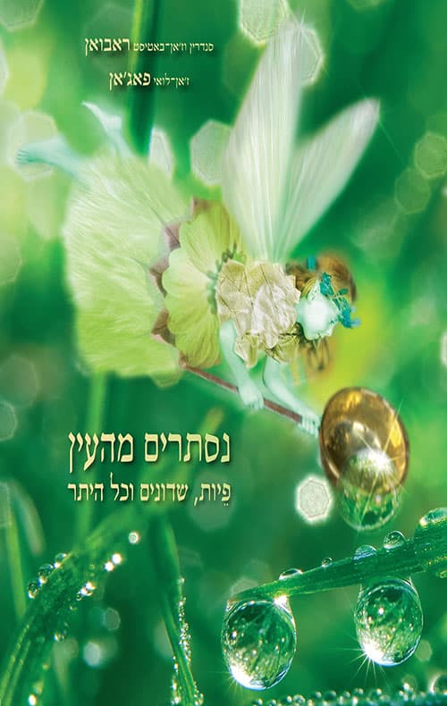 נסתרים מהעין