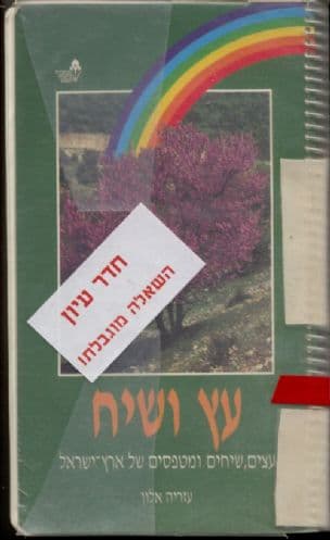 עץ ושיח : עצים, שיחים ומטפסים של ארץ ישראל