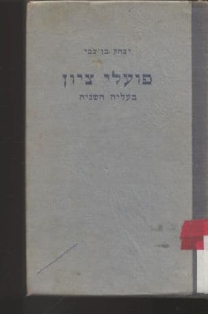 פועלי ציון בעליה השניה