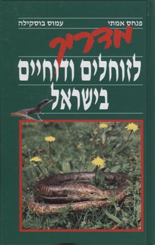מדריך: לזוחלים ודוחיים בישראל