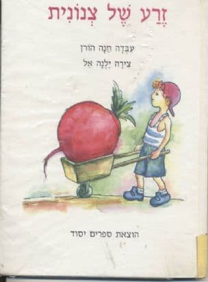 זרע של צנונית