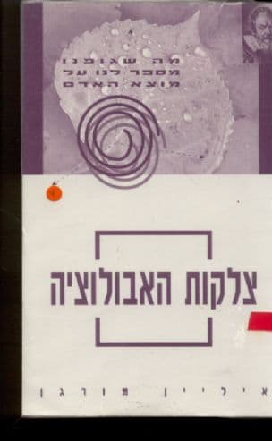 צלקות האבולוציה : מה שגופנו מספר לנו על מוצא האדם