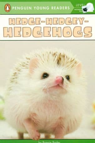 Hedge-Hedgey-HEDGEHOGS
