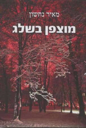 מוצפן בשלג