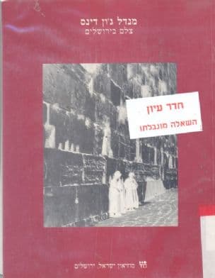 מנדל ג'ון דינס : צלם בירושלים