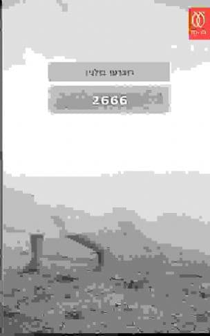 2666